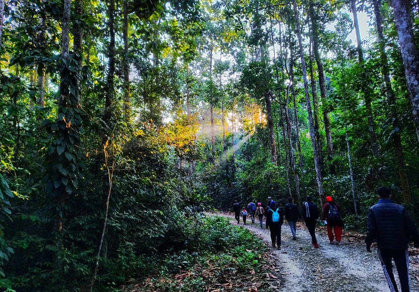 Dehing Patkai Wildlife Sanctuary, Dibrugarh, Assam - Vushii.com